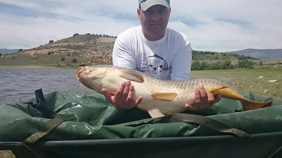 o partida dificila - 110261435517301682998362406760938151104936n.jpg